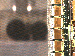 SurveyImage_15_03.png