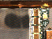SurveyImage_19_04.png