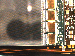 SurveyImage_21_02.png