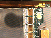 SurveyImage_25_04.png