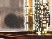 SurveyImage_27_02.png