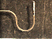 SurveyImage_29_02.png