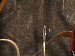 SurveyImage_29_04.png