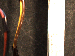 SurveyImage_30_05.png