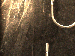 SurveyImage_01_03.png