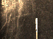 SurveyImage_01_04.png
