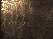 SurveyImage_01_05.png