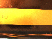 SurveyImage_05_02.png