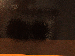SurveyImage_05_03.png
