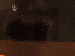 SurveyImage_07_03.png