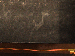 SurveyImage_09_05.png