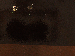 SurveyImage_11_03.png