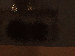 SurveyImage_12_03.png