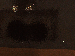 SurveyImage_14_03.png