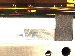 SurveyImage_15_01.png