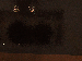 SurveyImage_15_03.png