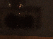 SurveyImage_17_03.png