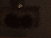 SurveyImage_20_03.png