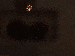 SurveyImage_21_03.png