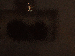 SurveyImage_23_03.png