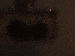 SurveyImage_26_03.png