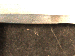 SurveyImage_29_06.png