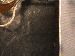 SurveyImage_02_03.png