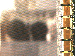 SurveyImage_03_03.png