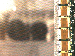 SurveyImage_05_03.png