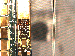 SurveyImage_06_03.png