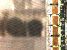 SurveyImage_07_03.png