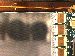 SurveyImage_07_04.png