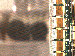 SurveyImage_09_03.png