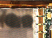 SurveyImage_09_04.png
