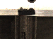 SurveyImage_10_06.png