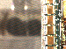 SurveyImage_11_03.png