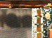 SurveyImage_11_04.png