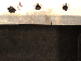 SurveyImage_12_06.png