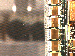 SurveyImage_13_03.png