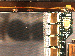 SurveyImage_13_04.png