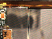 SurveyImage_16_04.png