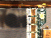 SurveyImage_17_04.png