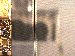 SurveyImage_22_03.png