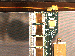 SurveyImage_25_04.png