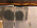 SurveyImage_26_04.png