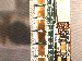 SurveyImage_27_03.png