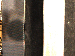 SurveyImage_30_03.png