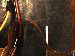SurveyImage_01_04.png