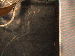 SurveyImage_02_03.png