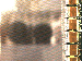 SurveyImage_03_03.png